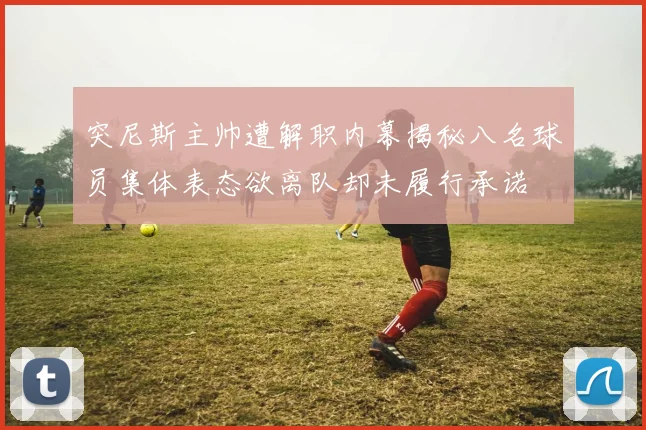 突尼斯主帅遭解职内幕揭秘八名球员集体表态欲离队却未履行承诺