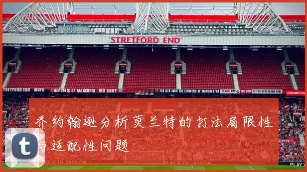 乔约翰逊分析莫兰特的打法局限性与适配性问题