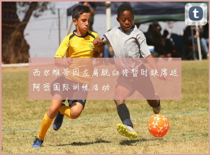 西尔维蒂因左肩脱臼将暂时缺席迈阿密国际训练活动