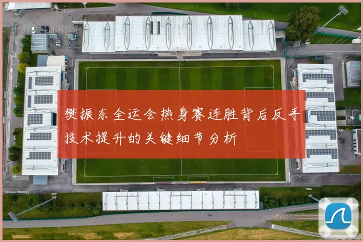 樊振东全运会热身赛连胜背后反手技术提升的关键细节分析